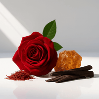 OUD ROYAL - PARFUMS COLLECTION PRIVÉE