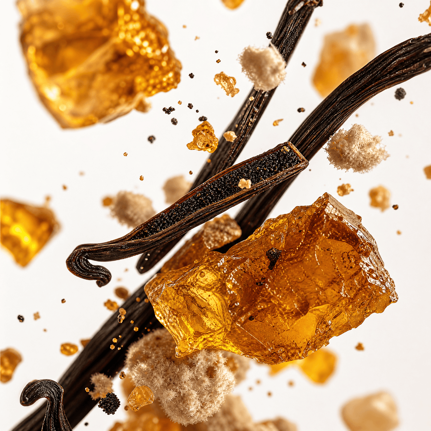 VANILLA INTENSE