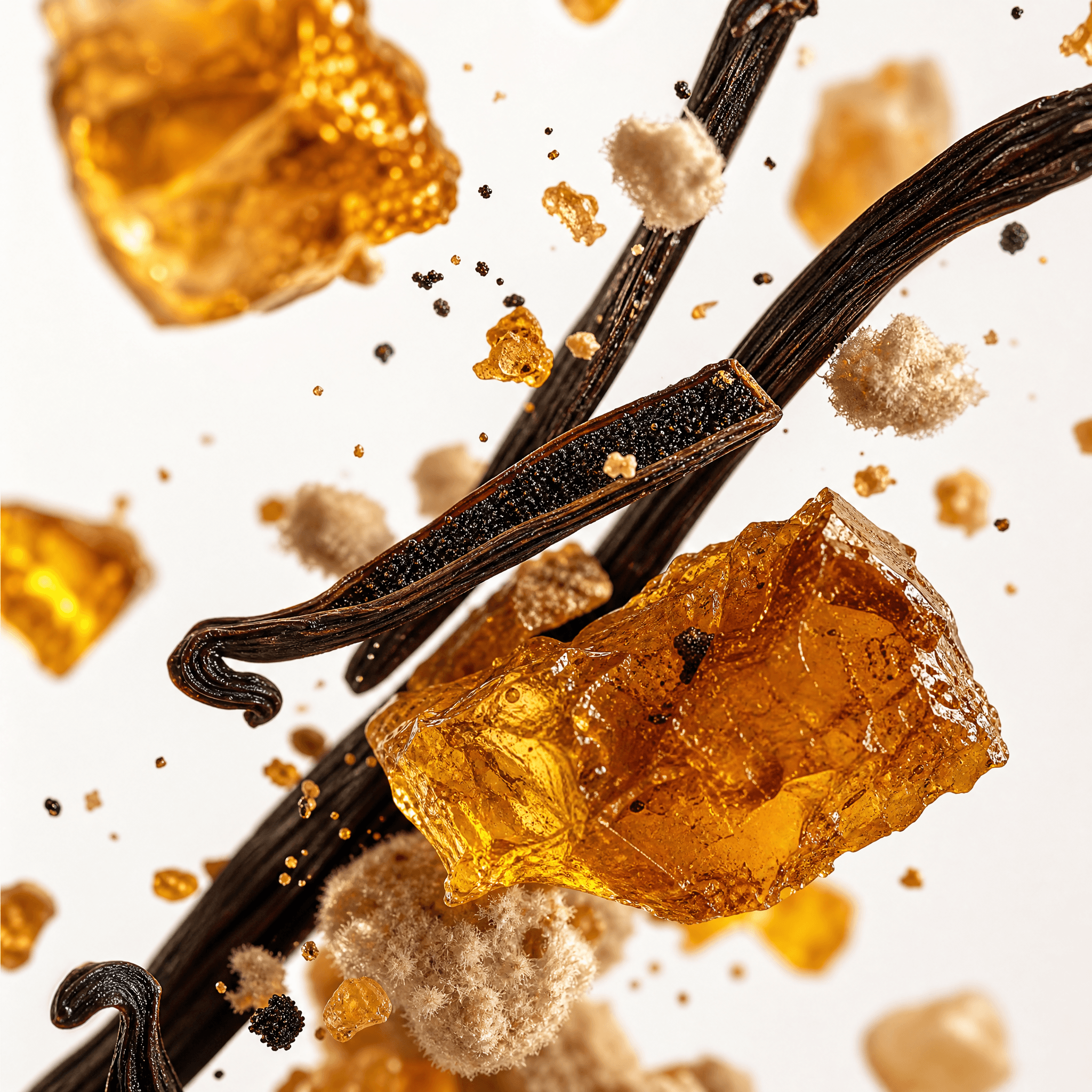 VANILLA INTENSE